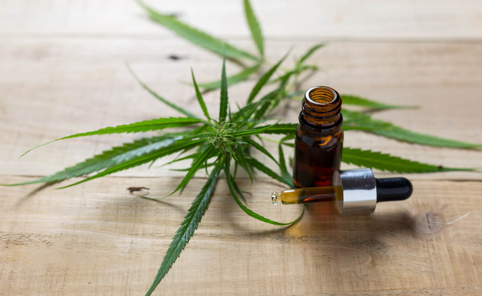 Jak konopí posiluje imunitu?