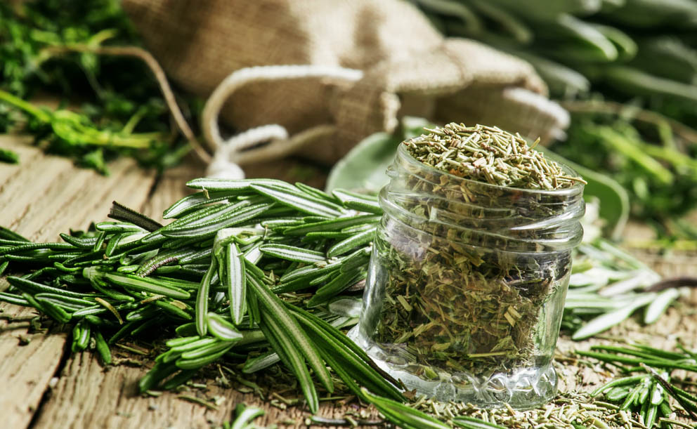 Nejlepší byliny, které porazí chřipku i nachlazení