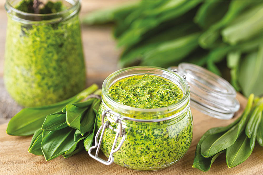 Pesto z medvědího česneku