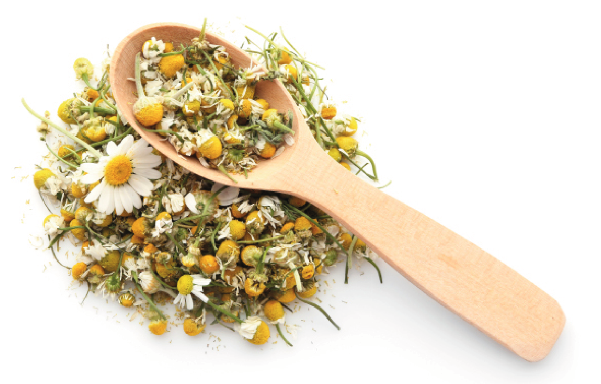 Vyrobte si vlastní bylinkovou kosmetiku