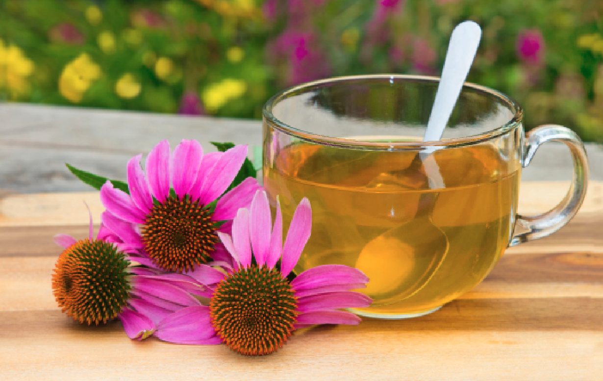 Čaj z echinacey  a citronu