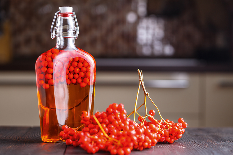 5 receptů s jeřabinami, které vám pomohou proti zánětu močového měchýře nebo kašli