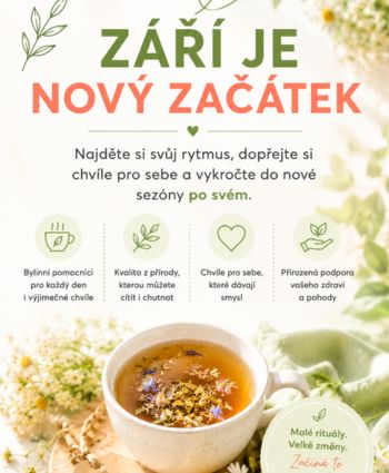 Září nový začátek