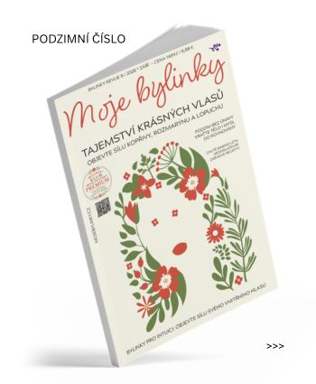 Podzimní Bylinky