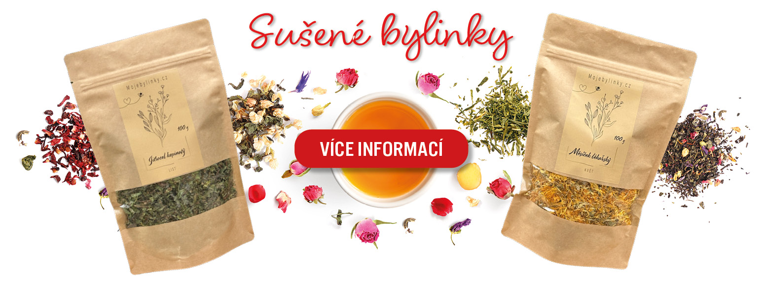 susene_byliny_banner