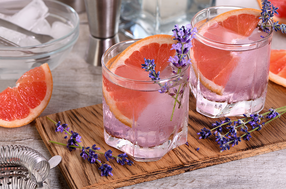 refreshing-lavender-paloma