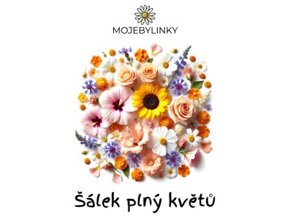 Šálek plný květů, MojeBylinky