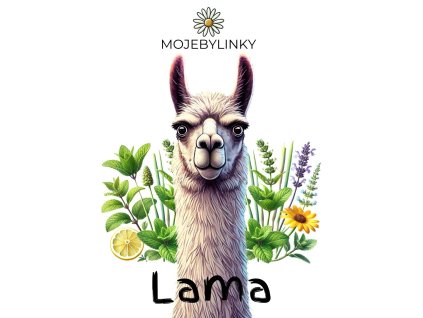 Lama bylinný čaj, Mojebylinky