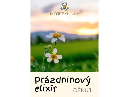 Prázdninový elixír, bylinný čaj Mojebylinky 50g