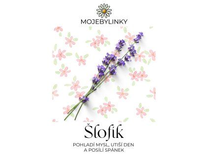Šlofík, MojeBylinky