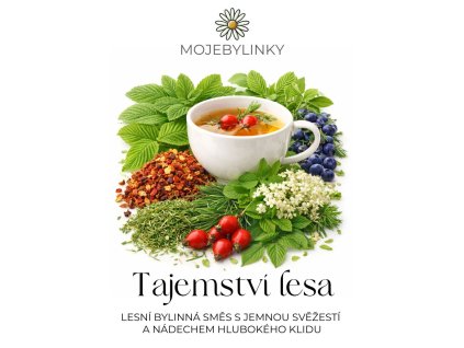 Tajemství lesa, MojeBylinky