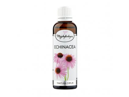 Echinacea