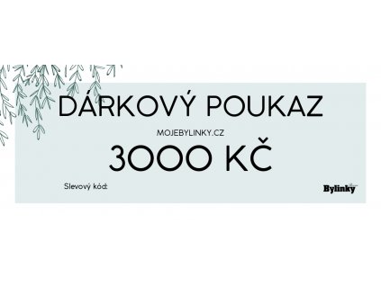 Voucher 3000 Kč