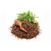 bazalka posvatna tulsi
