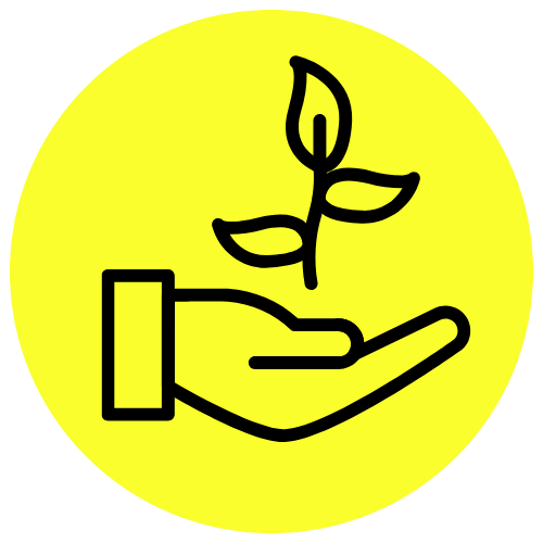 Udržitelné a ekologické podnikání