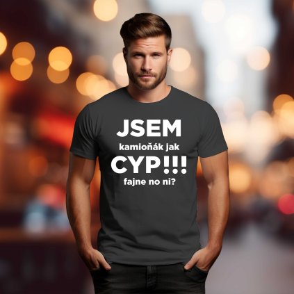 Kopie návrhu BELLA CANVAS 3001 CANVA TEMPLATE