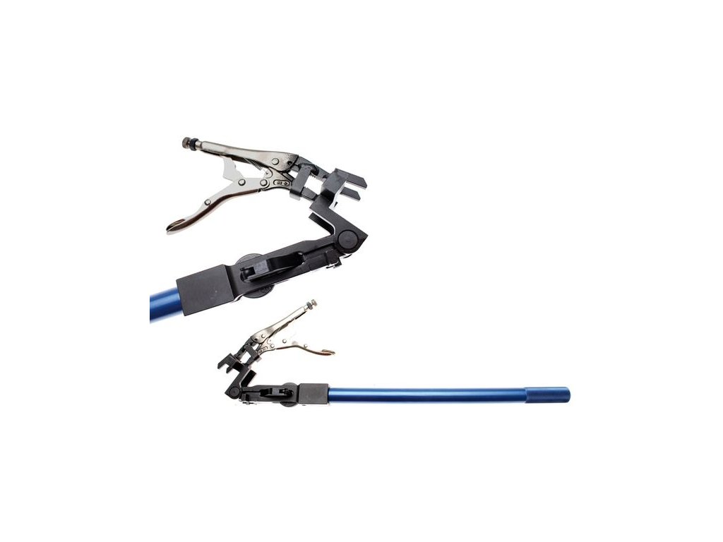 5560