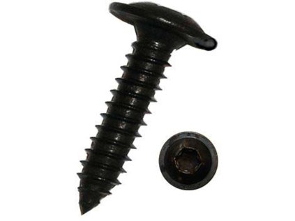 Samořezné šrouby do plechu TORX 3,9x16 mm, nerezové A2, černé, sada 100 ks