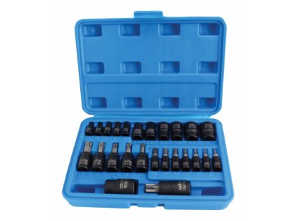 Zástrčné a nástrčné hlavice 1/4", 3/8" a 1/2” TORX a TORX-E, sada 25 ks - SATRA