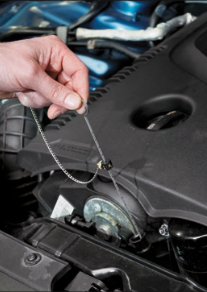 Olejová měrka AUDI - Vigor V2645