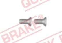 QUICK BRAKE Šroub M6x1, délka 14 mm, na brzdové kotouče