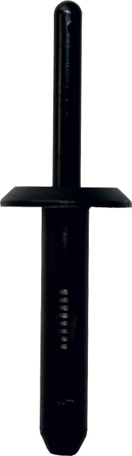 Dresselhaus Trhací nýty plastové, různé rozměry, sada 25 ks Rozměr: 6.3x25.2 mm