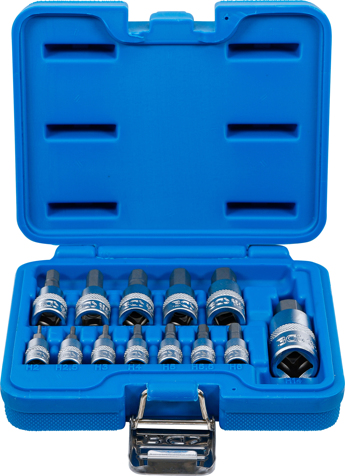 BGS technic Zástrčné hlavice Imbus 1/4", 3/8" a 1/2", H2-H14, sada 13 ks - BGS 74257