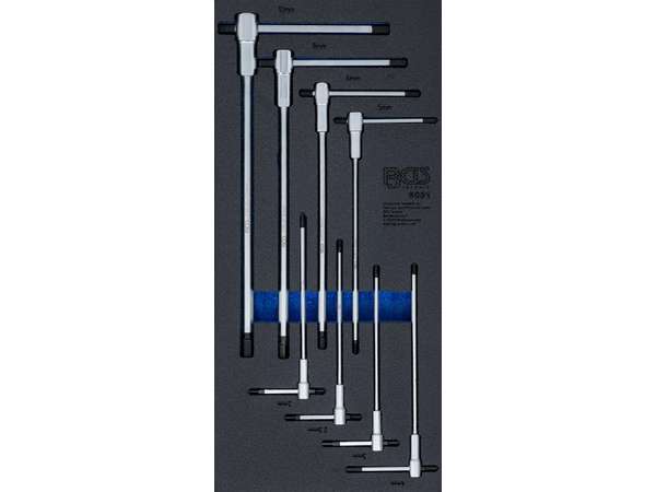 BGS Technic BGS 6081 Nářaďový modul 1/3: Zástrčné klíče 6hran 2 ÷ 10 mm s posuvnou T-rukoj