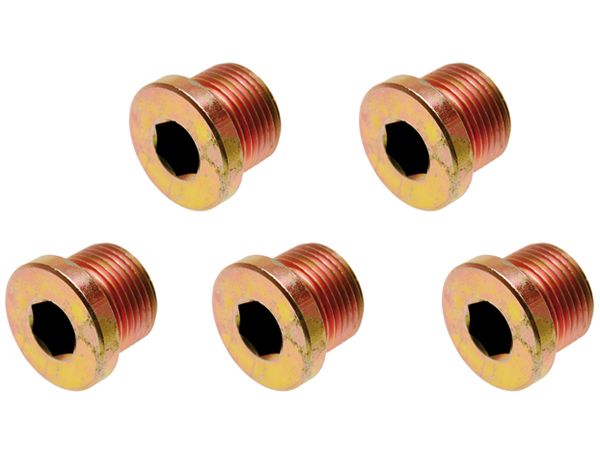 Zátky - výpustné šrouby olejových van, různé rozměry, sada 5 ks - BGS