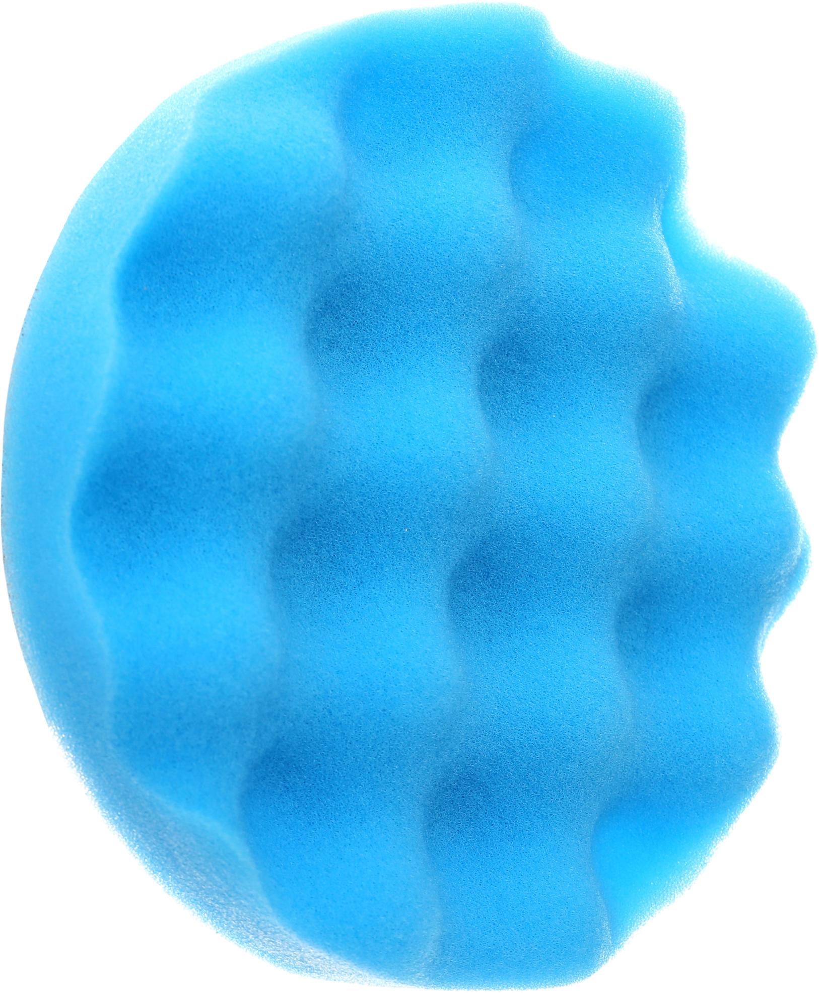 Lešticí houba 150 mm, modrá KD3061