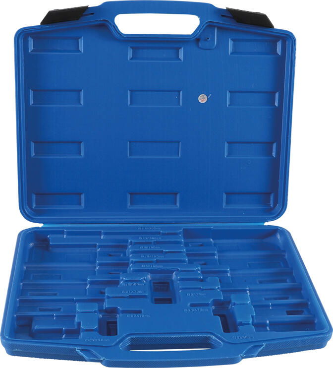 BGS technic Prázdný kufr pro BGS 7895 (BGS107895-LEER)