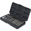 Sada bitů pro T-profil 12, 15 dílů - BGS 5040