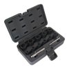 Hlavice 1/2” a 3/8” na poškozené šrouby, velikosti 8-21 mm, sada 13 ks - ASTA 99