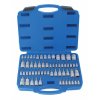 Nástrčné a zástrčné hlavice TORX, 1/4”, 3/8” a 1/2”, sada 60 ks - SATRA