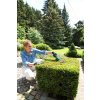 AKU nůžky na trávu a živé ploty Bosch Isio - 0600833102