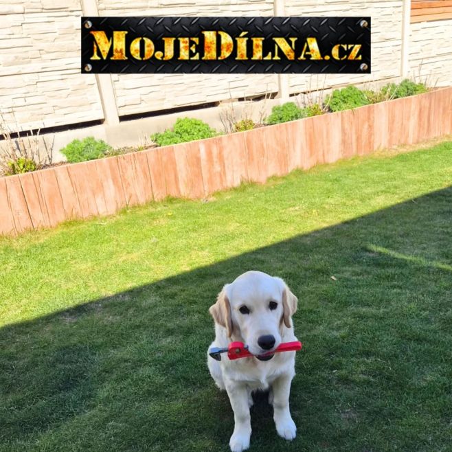 🔧 Středa, pomocníků třeba! 🐶 U nás maká každý… i ten čtyřnohý. 😄 Nářadí pohlídá, náladu zlepší a svačinu zkontroluje během...