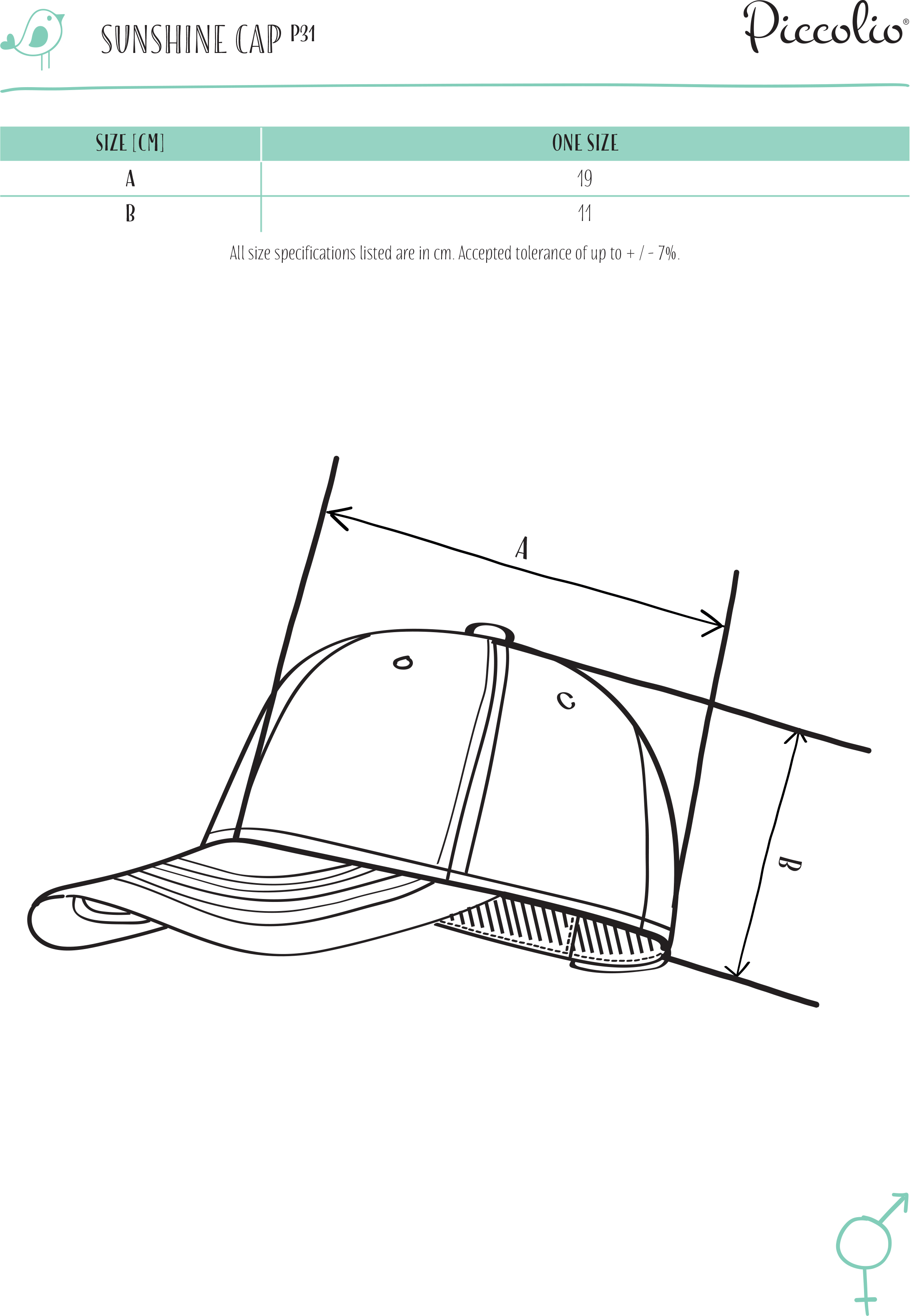 p31---product_size