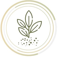 Matchaccino - Ikona Matcha