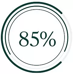 Ikona 85%