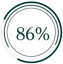 Ikona 86%