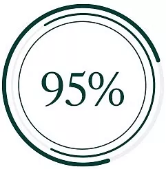 Ikona 95%