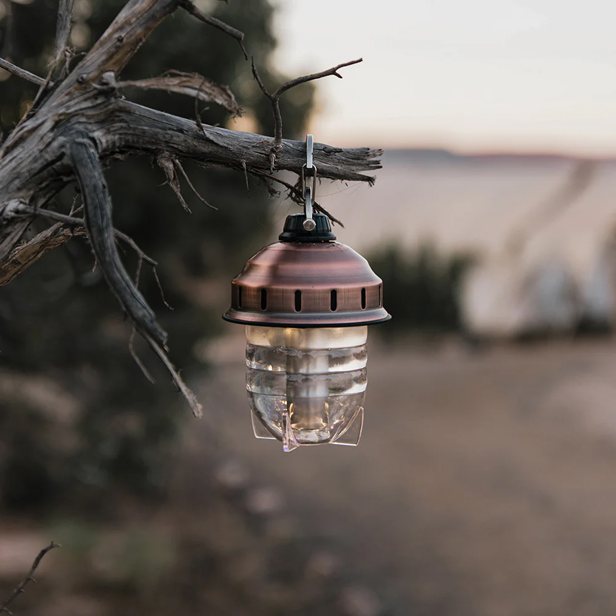 Barebones-lampas-cover-na-web