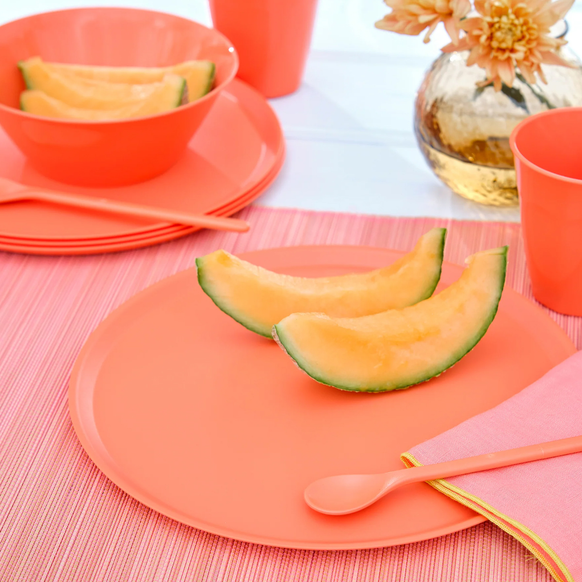 NORA-PLATE-255mm-12-web