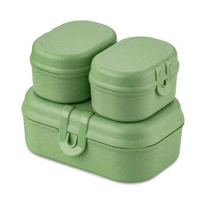 PASCAL READY MINI nature leaf green web