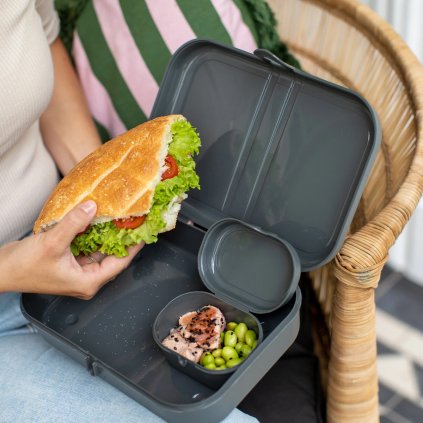 PASCAL L nature ash grey web 2