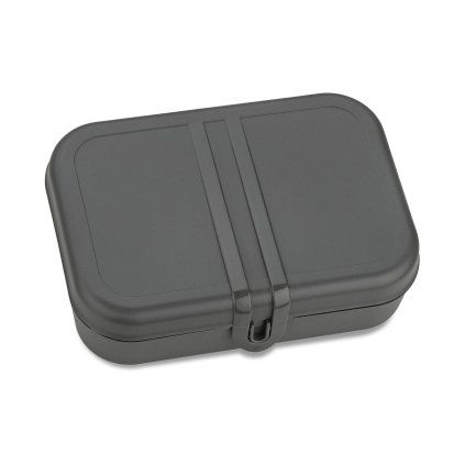 PASCAL L nature ash grey web