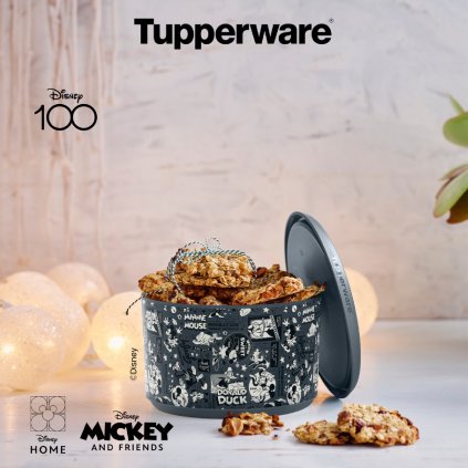 Tupperware dóza Bingo Disney 1,4L