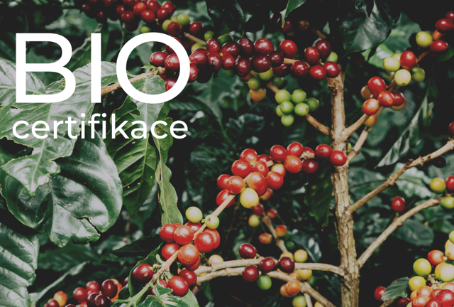 Jak je to? BIO certifikace