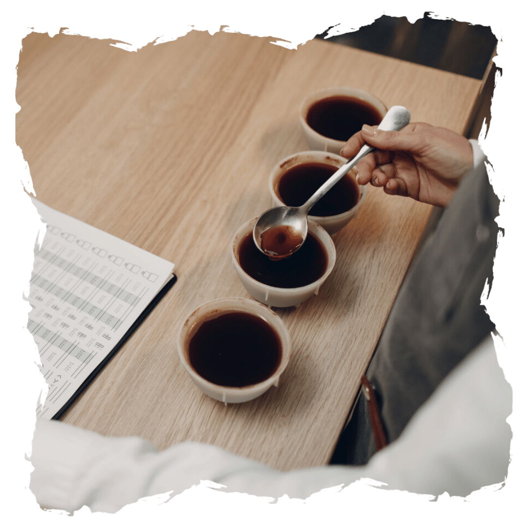 cupping-coffee-articl