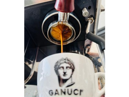 GANUCI Perfetto 100 arabica nejlepsi kava naked portafilter